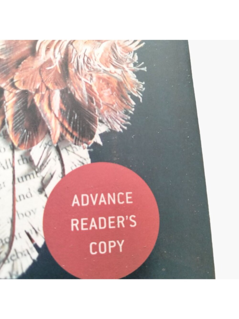 Loitering New Collected Essays Charles D Ambrosio Paperback Book Advance Copy - Picture 2 of 3